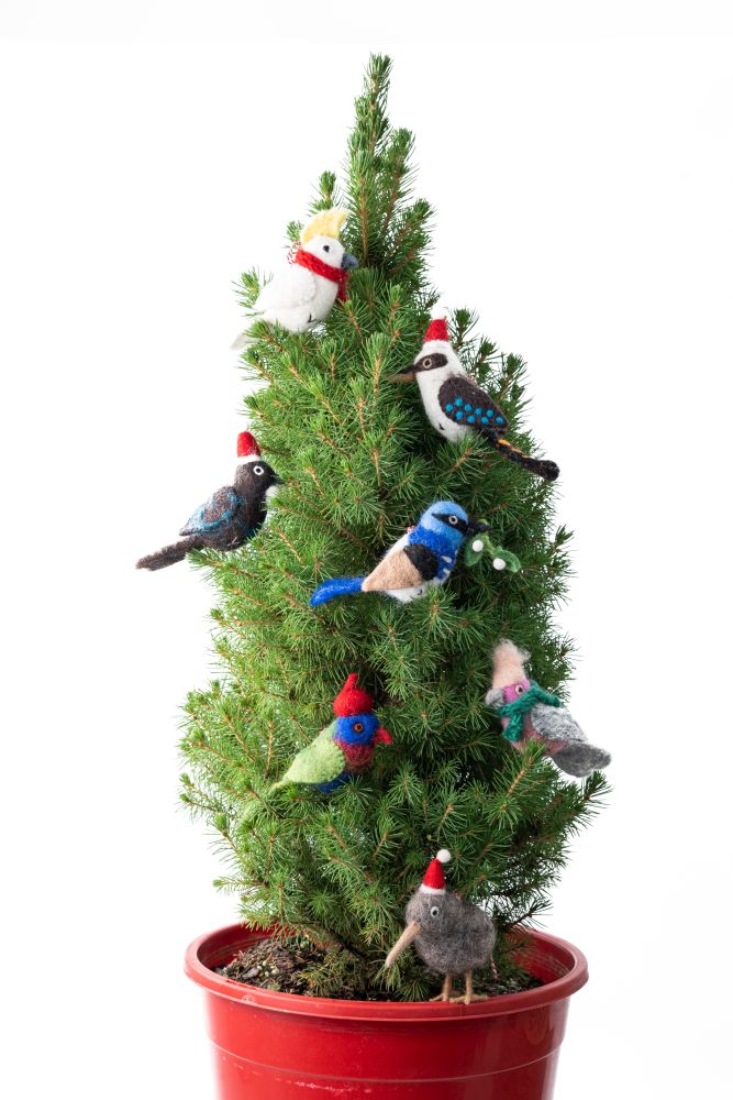 GI-XD-DAUB005[2].jpg