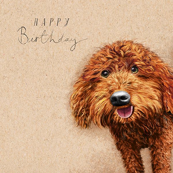 Card-Cockapoo