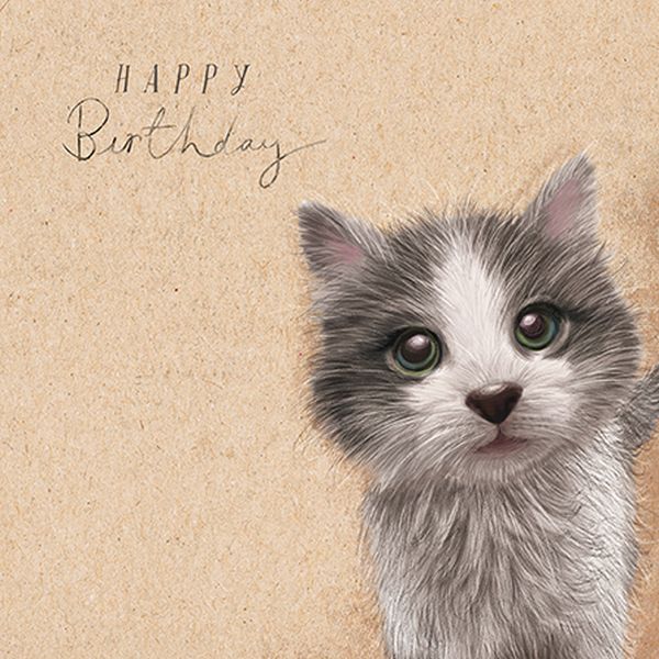 Card-Kitten