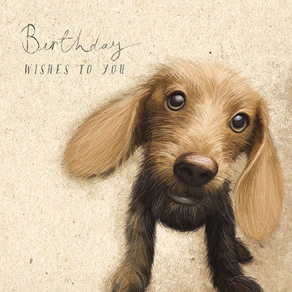Card-Sausage Dog