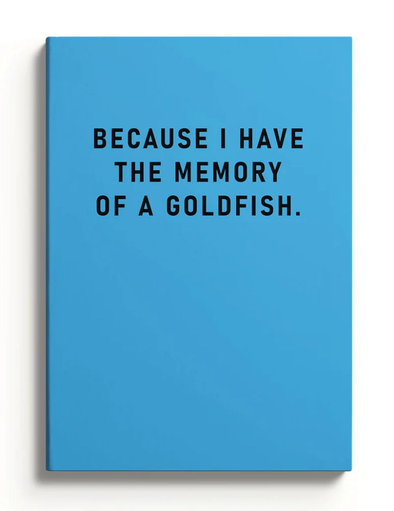 A5 Smooth Soft Cover Notebook-Memory Of A Goldfish