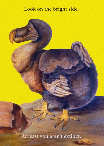 Card-Bright Side