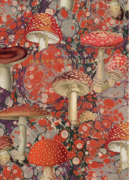 Foil Card-Fungi