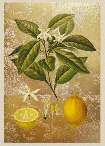 Foil Card-Lemons