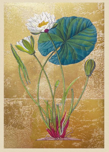 Foil Card-Lily Pond