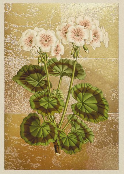 Foil Card-Geranium