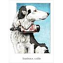 Card-Bordeaux Collie