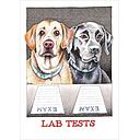 Card-Lab Tests