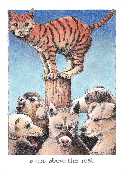 Card-Cat Above The Rest