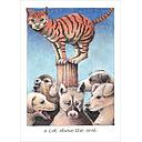 Card-Cat Above The Rest