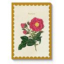 Kaleido A5 Textured Soft Cover Notebook-Drift Rose