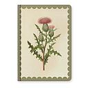 Kaleido A5 Premium Hard Cover Notebook-Thistle