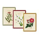 Kaleido Medium Notebook Set-Natural World
