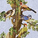 Embossed Card-Birdworld