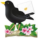 3D Card-Bird Blackbird