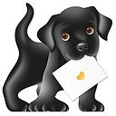3D Card-Dog Bobby