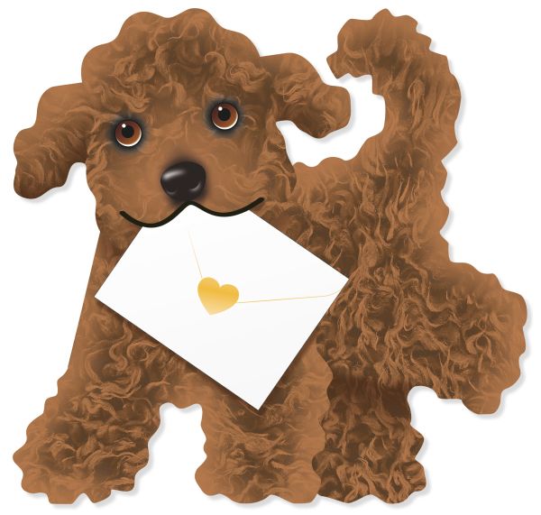 3D Card-Dog Button