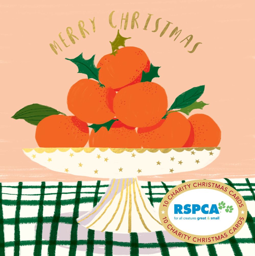 Christmas Card Wallet-RSPCA-Bowl of Delights