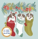 Christmas Card Wallet-CMRI-Cheeky Puppies