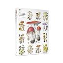 1000-Piece Jigsaw Puzzle-Viazmensky-Mushrooms