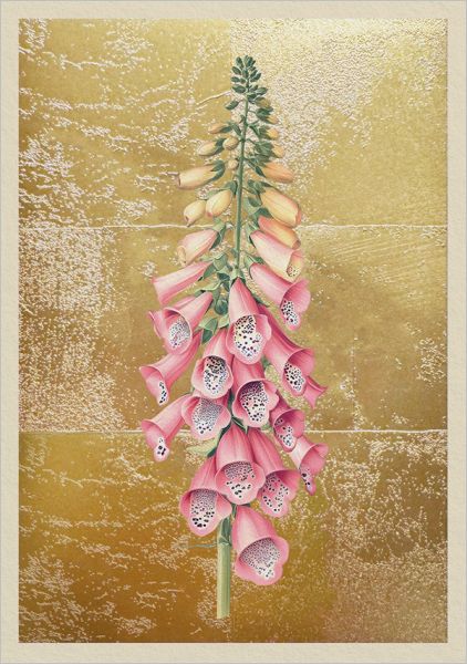 Foil Card-Foxglove