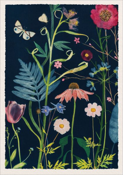 Foil Card-Fern and Echinacea