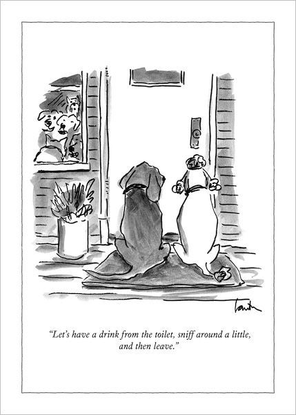 Card-Drink, Sniff And Leave