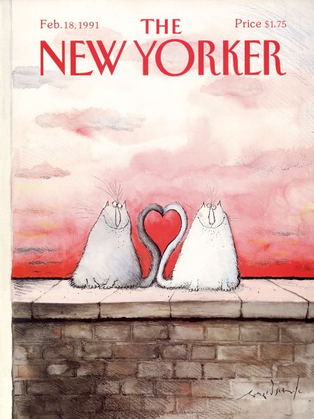 Card-Cat Tail Love