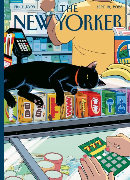 Card-Bodega Cat