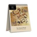 Ohh Deer 16x22 Desk Cal-Natural World