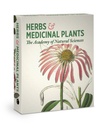 Knowledge Cards-Herbs and Medicinal Plants