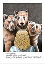 Card-Goldilocks