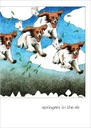 Card-Springers In The Air