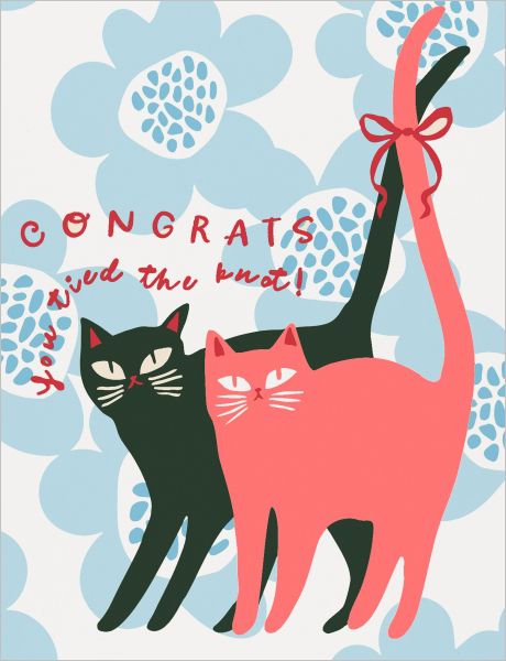 Card-Tied Knots Cat