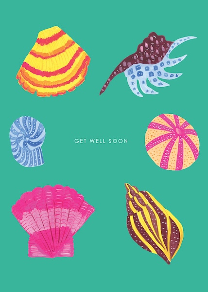 Card-Sea Shells