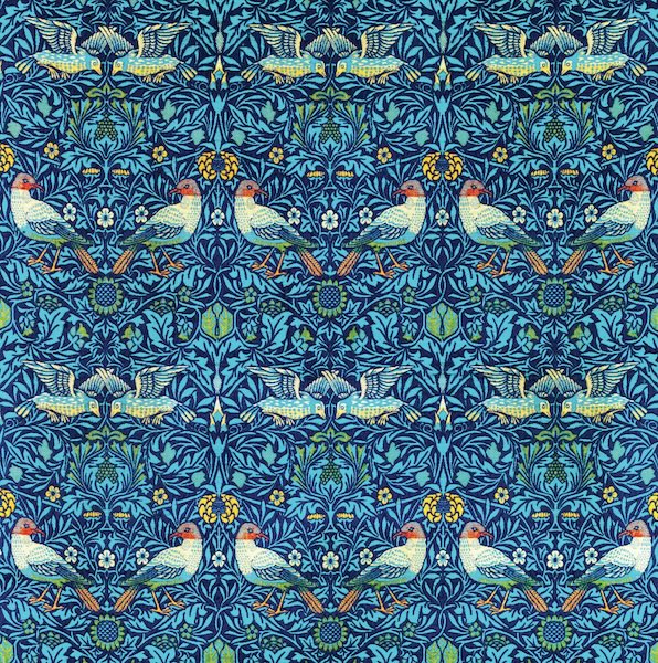 Card-Bird