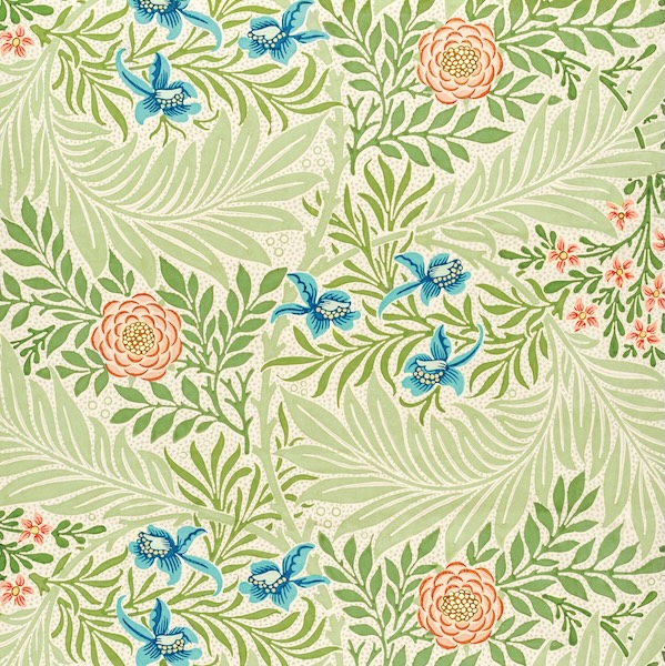 Card-Larkspur