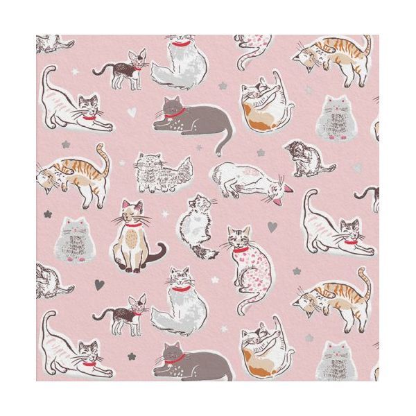 Mini Foil Card-Cats