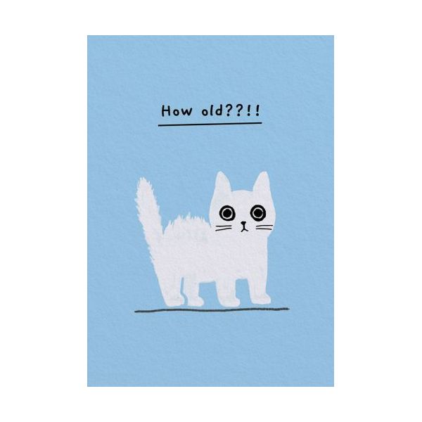 Mini Card-How Old Kitten