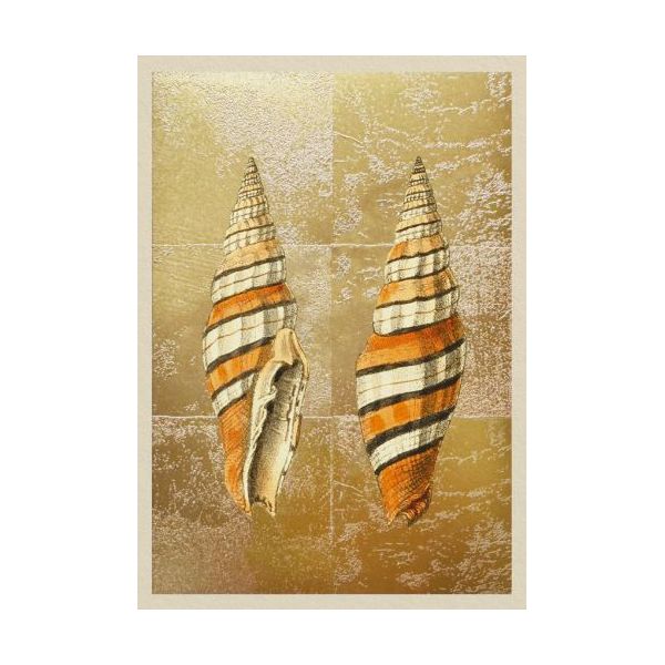 Mini Foil Card-Shells