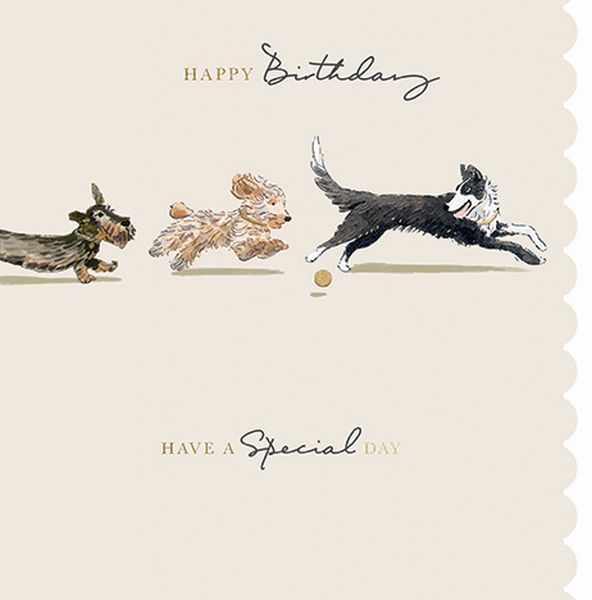 Foil Card-Special Day Dogs