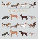 Foil Card-Dogs Birthday