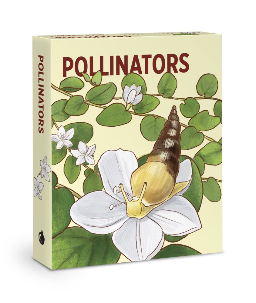 Knowledge Cards-Pollinators