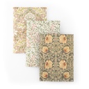 William Morris A6 Notebook Set No.2