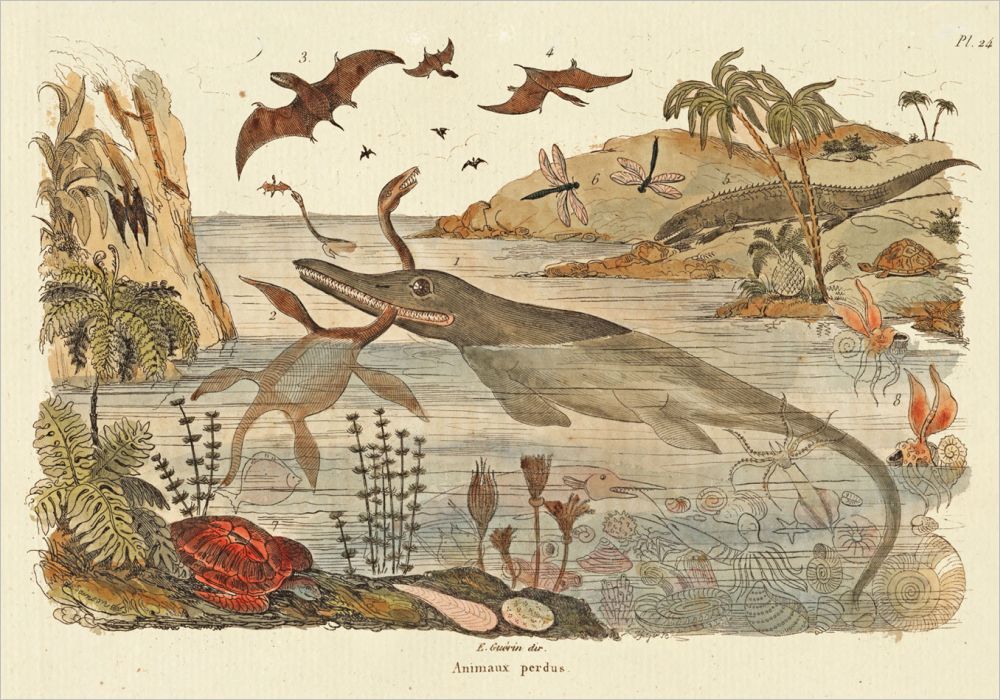 Card-Dinosaurs