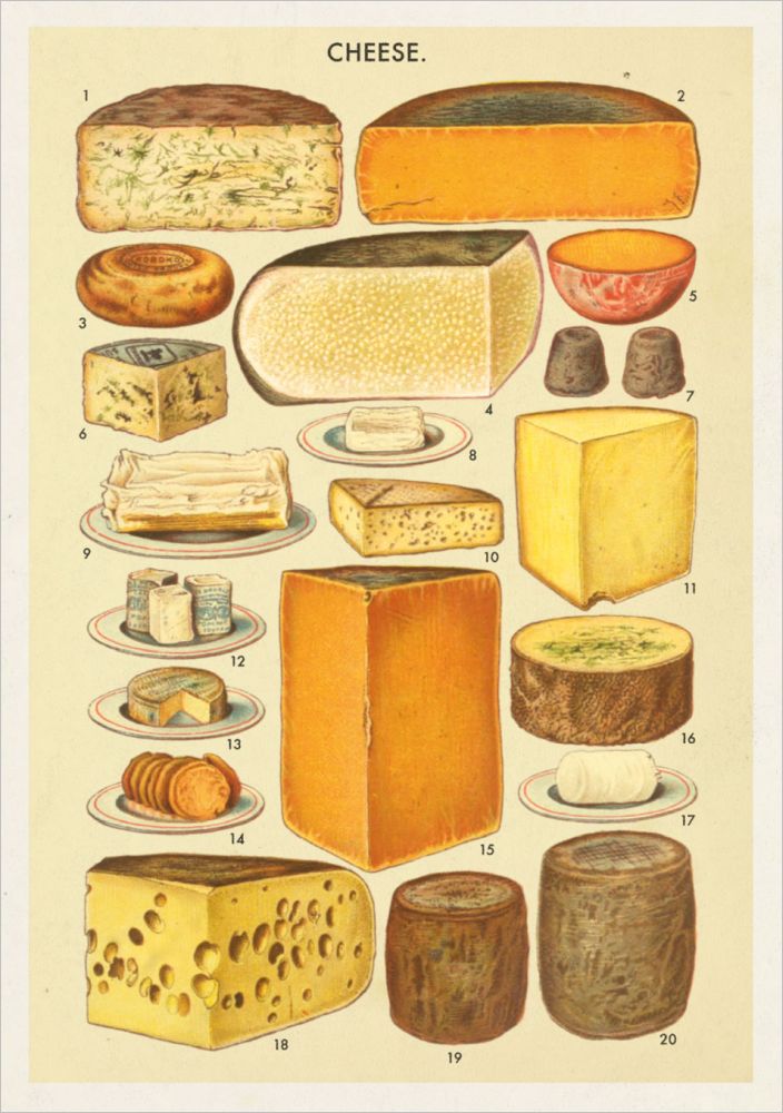 Card-Cheese