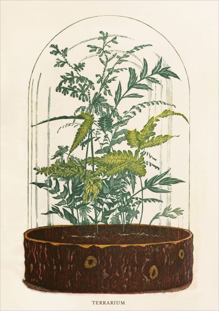 Card-Terrarium
