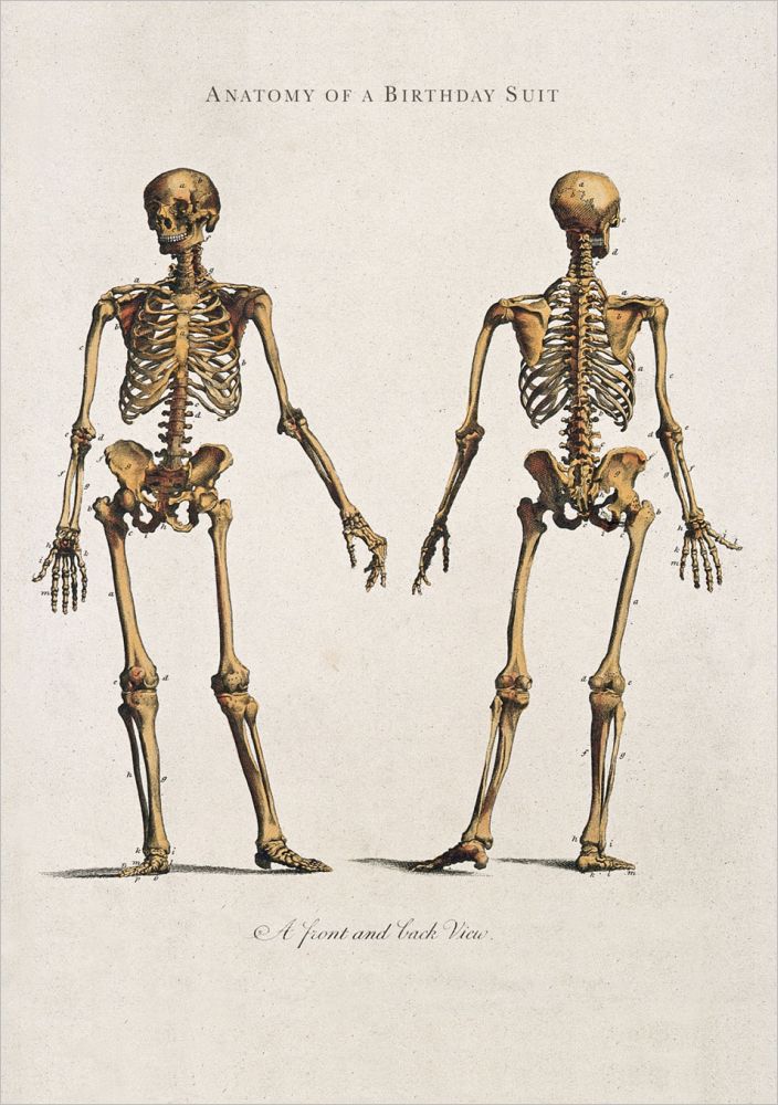 Card-Anatomy of a Birthday Suit