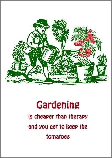 Card-Gardening