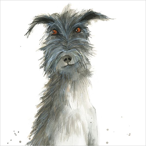 Card-Wolfhound